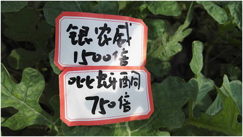 【探索】是什么讓黃蚜如此落?。?>
        </a>
        

    

</div><div   id=
